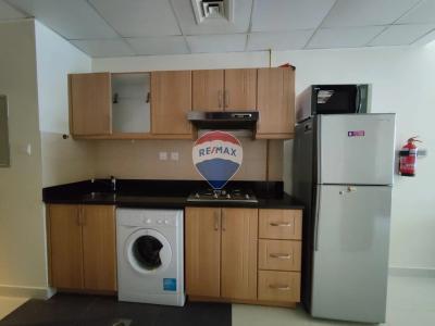 Spacious I Furnished Studio Lincoln Park