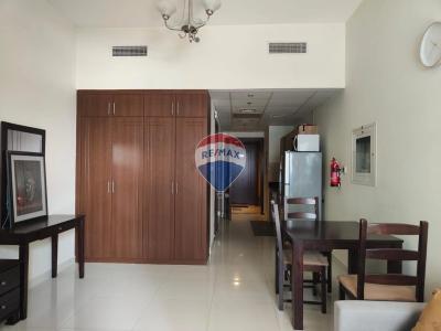 Spacious I Furnished Studio Lincoln Park